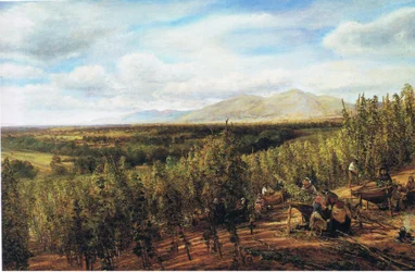 Die Hopfengärten